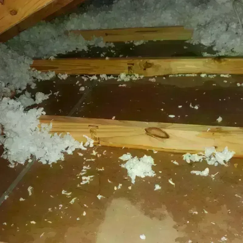 Attic Water Damage in Crookston, MN